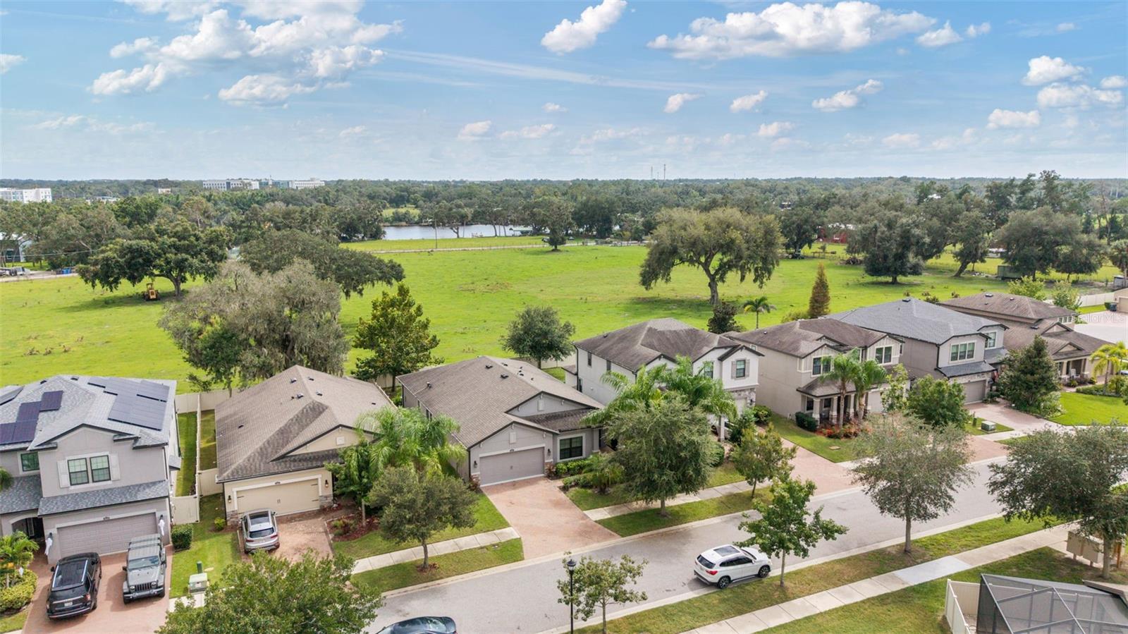 10438 ARBOR GROVES PL — photo 47