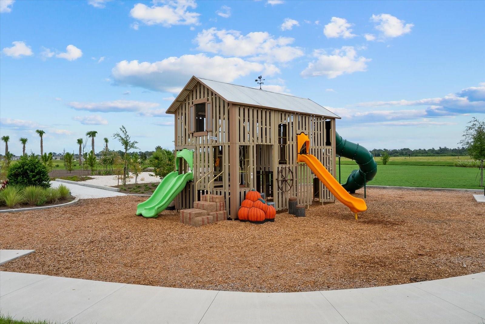 10514 ABUNDANCE GROVE WAY — photo 51