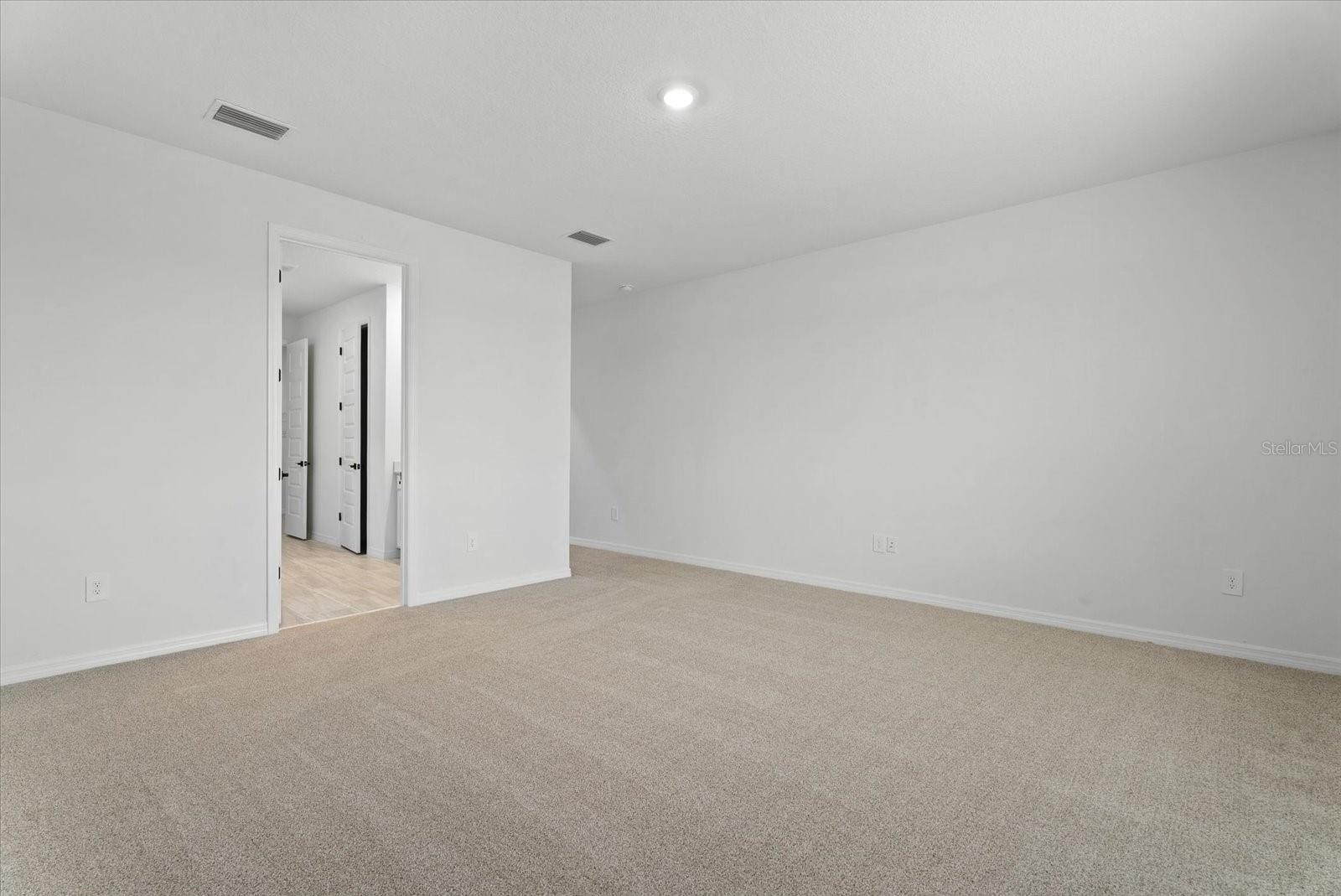 10514 ABUNDANCE GROVE WAY — photo 18