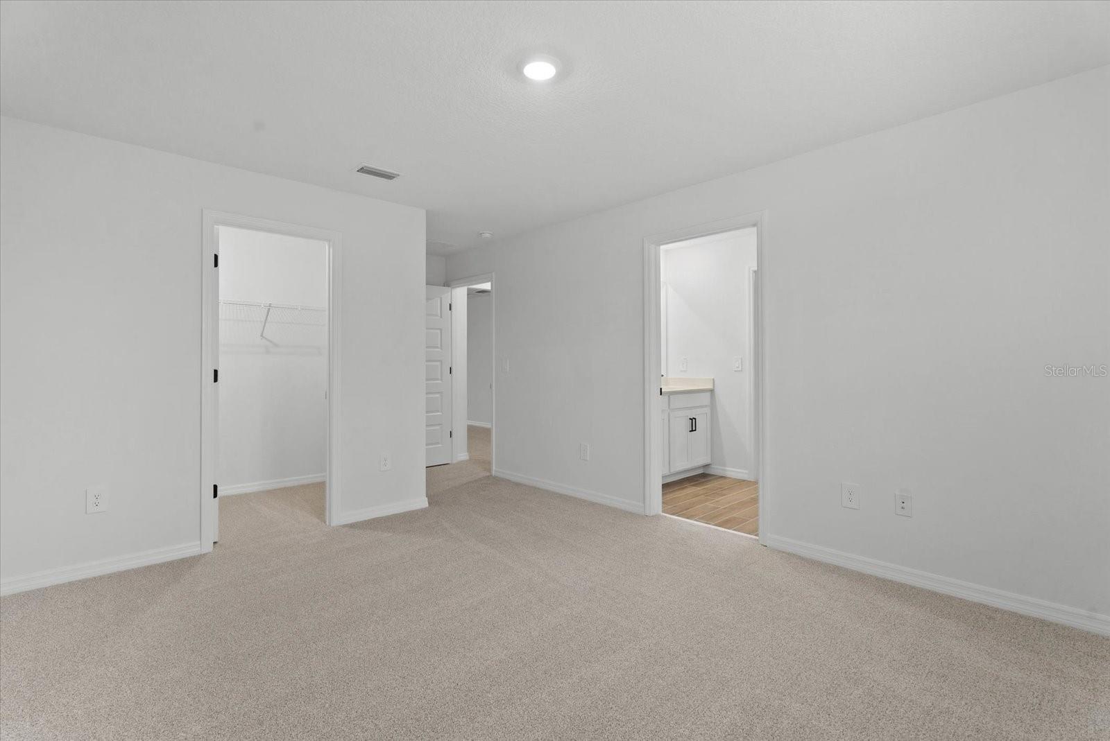 10514 ABUNDANCE GROVE WAY — photo 31
