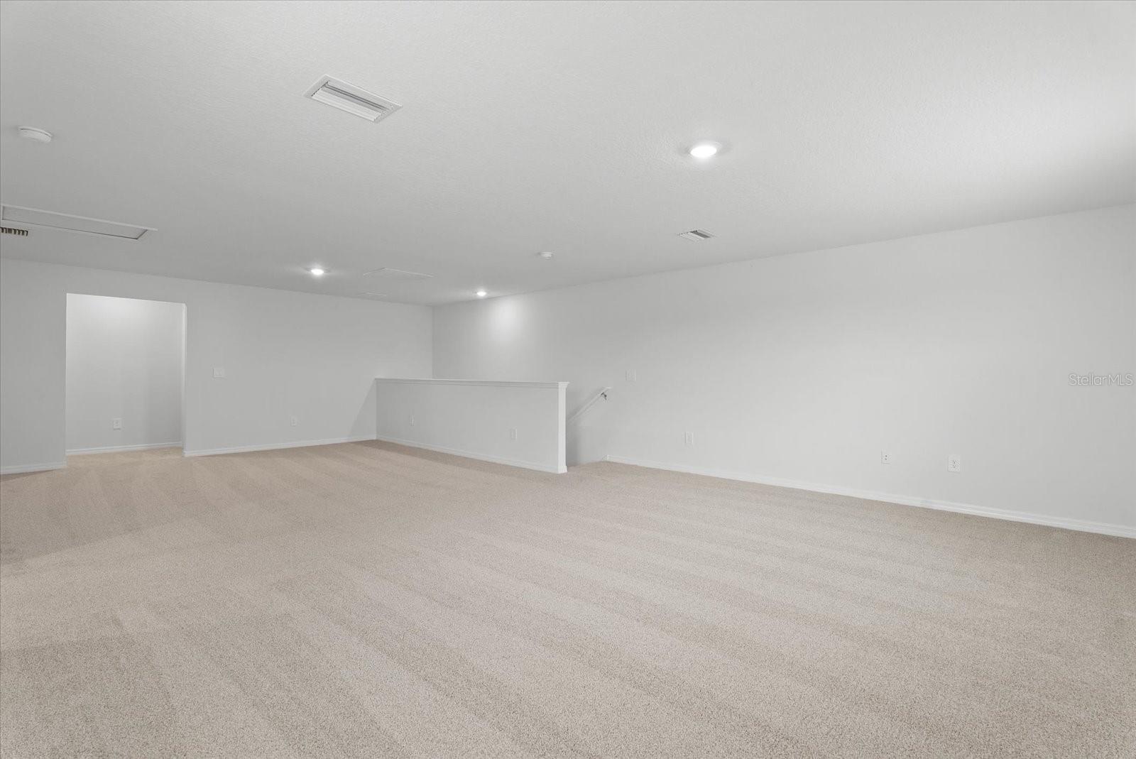 10514 ABUNDANCE GROVE WAY — photo 26