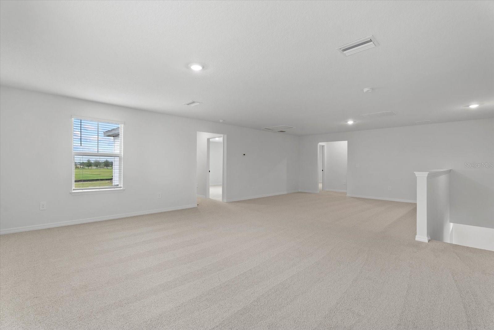 10514 ABUNDANCE GROVE WAY — photo 25