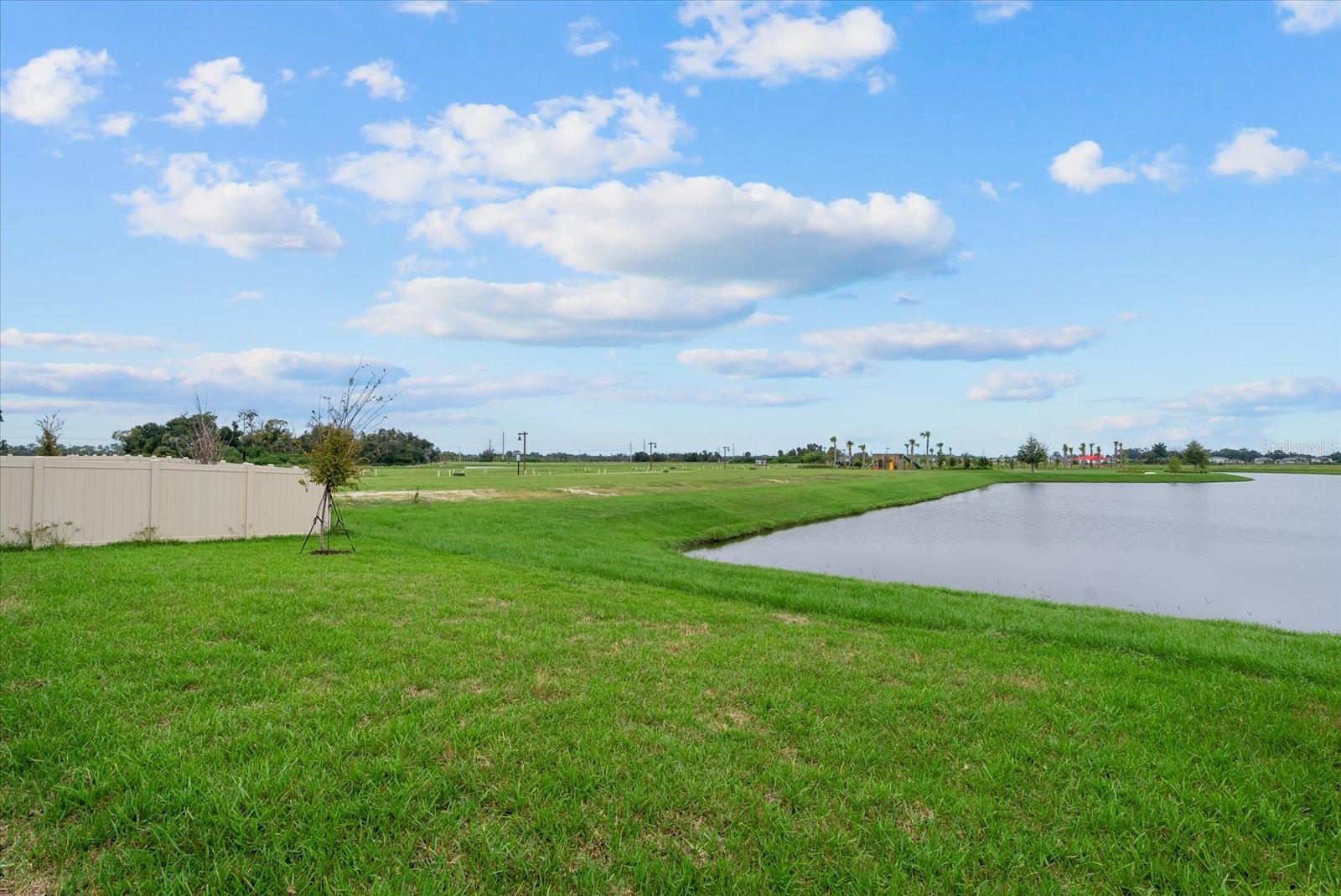 10514 ABUNDANCE GROVE WAY — photo 47