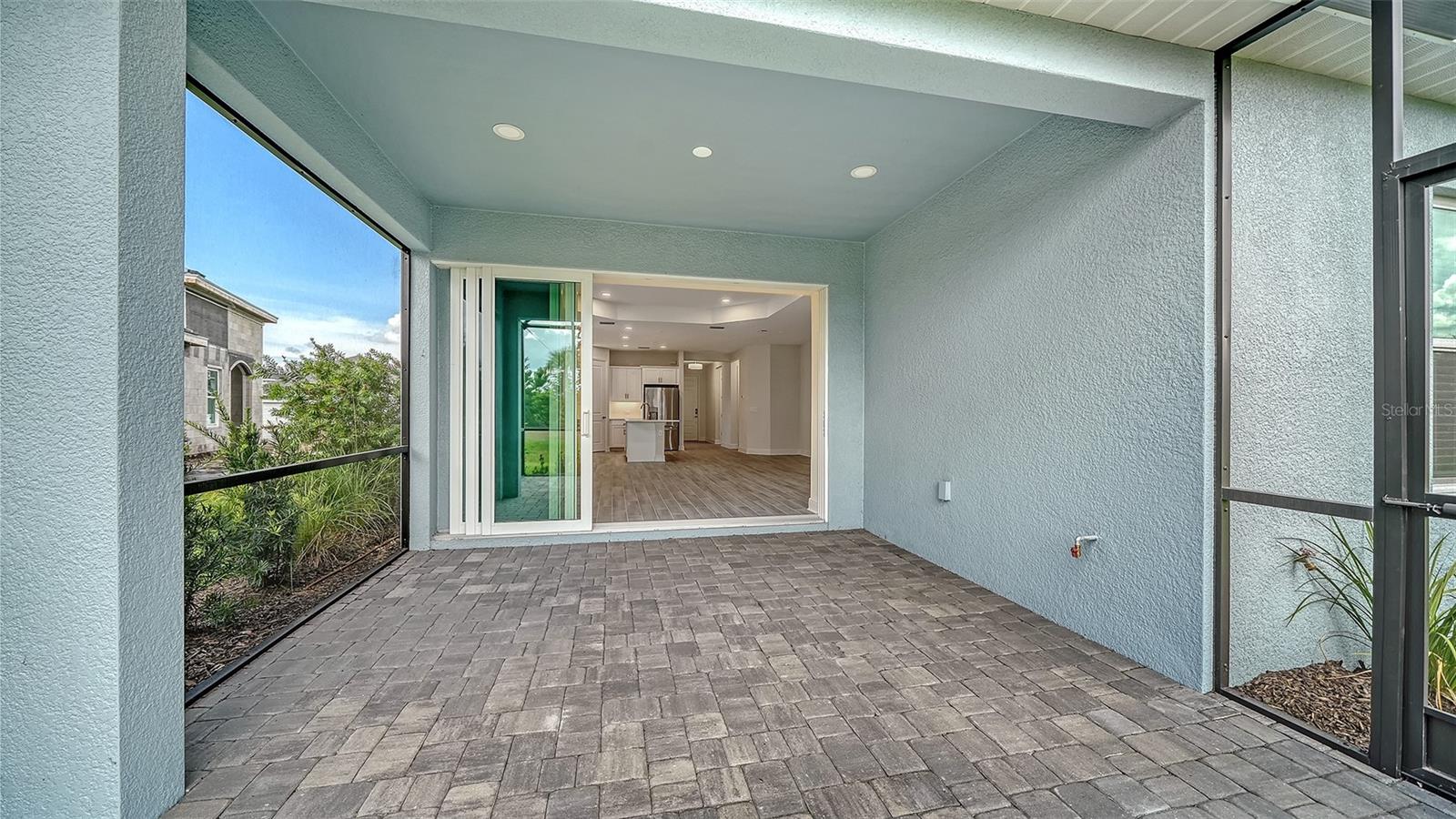 2115 SYLVESTER PALM LN — photo 13