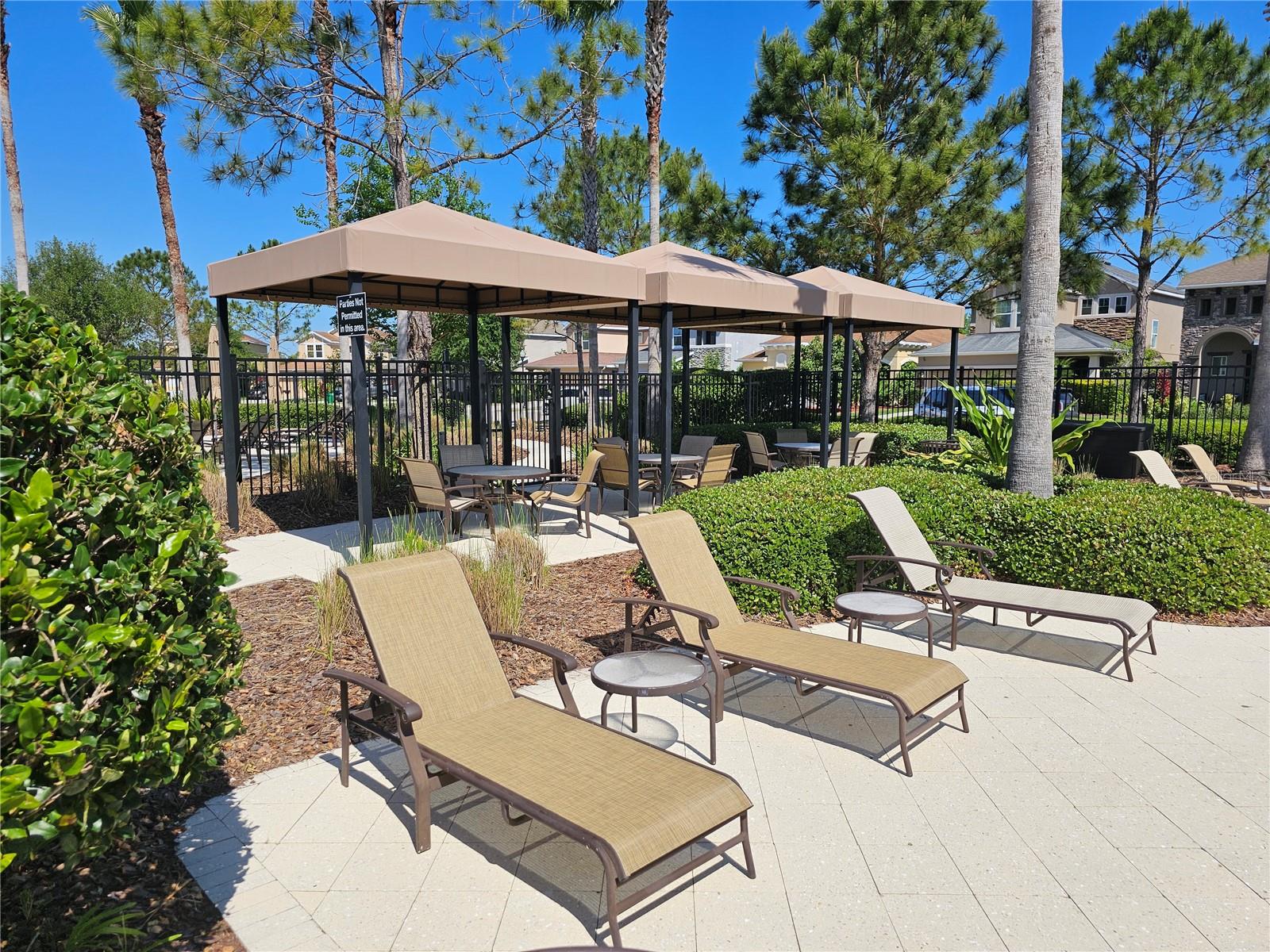 31828 SPOONFLOWER CIR — photo 25