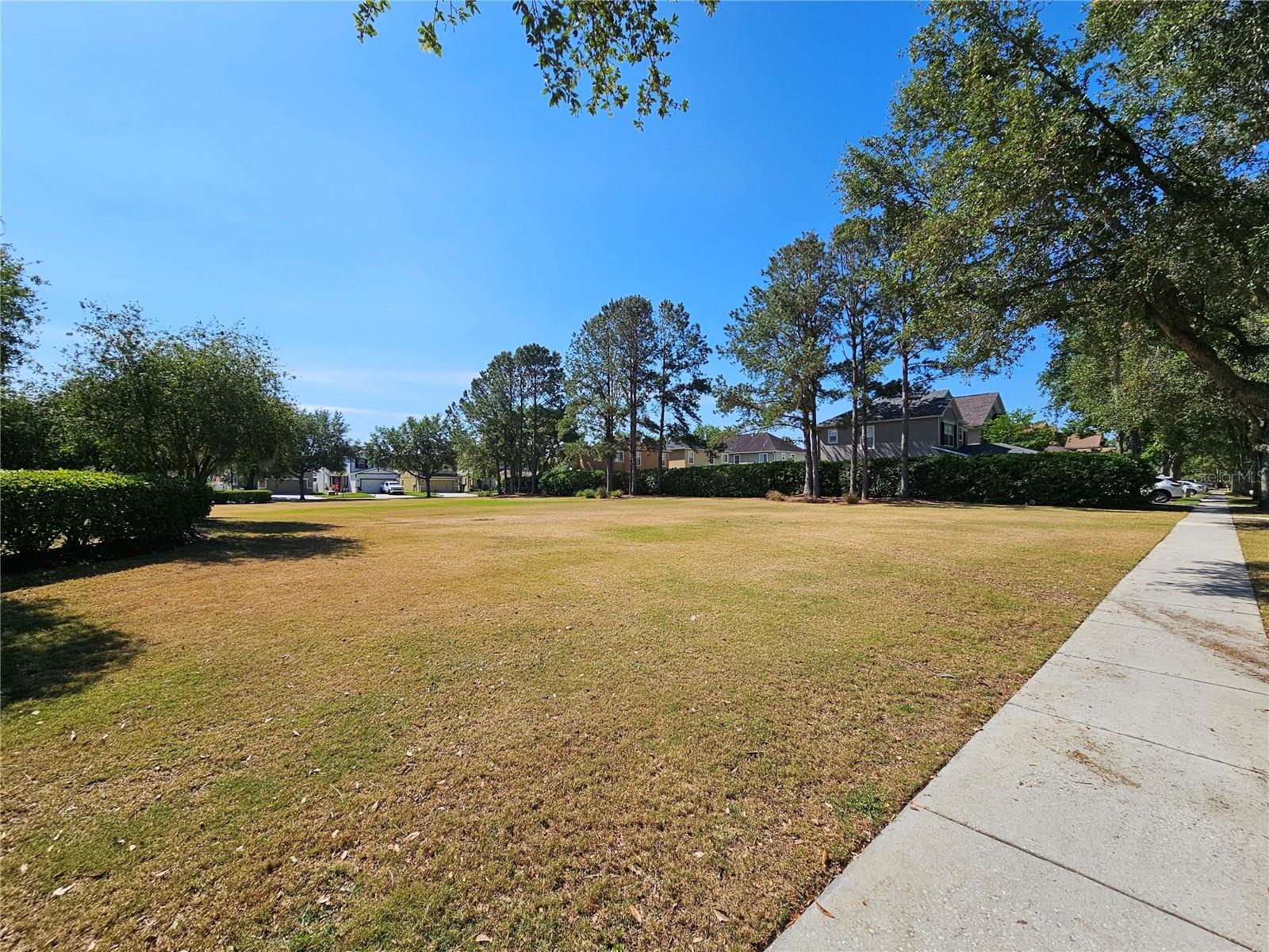 31828 SPOONFLOWER CIR — photo 20