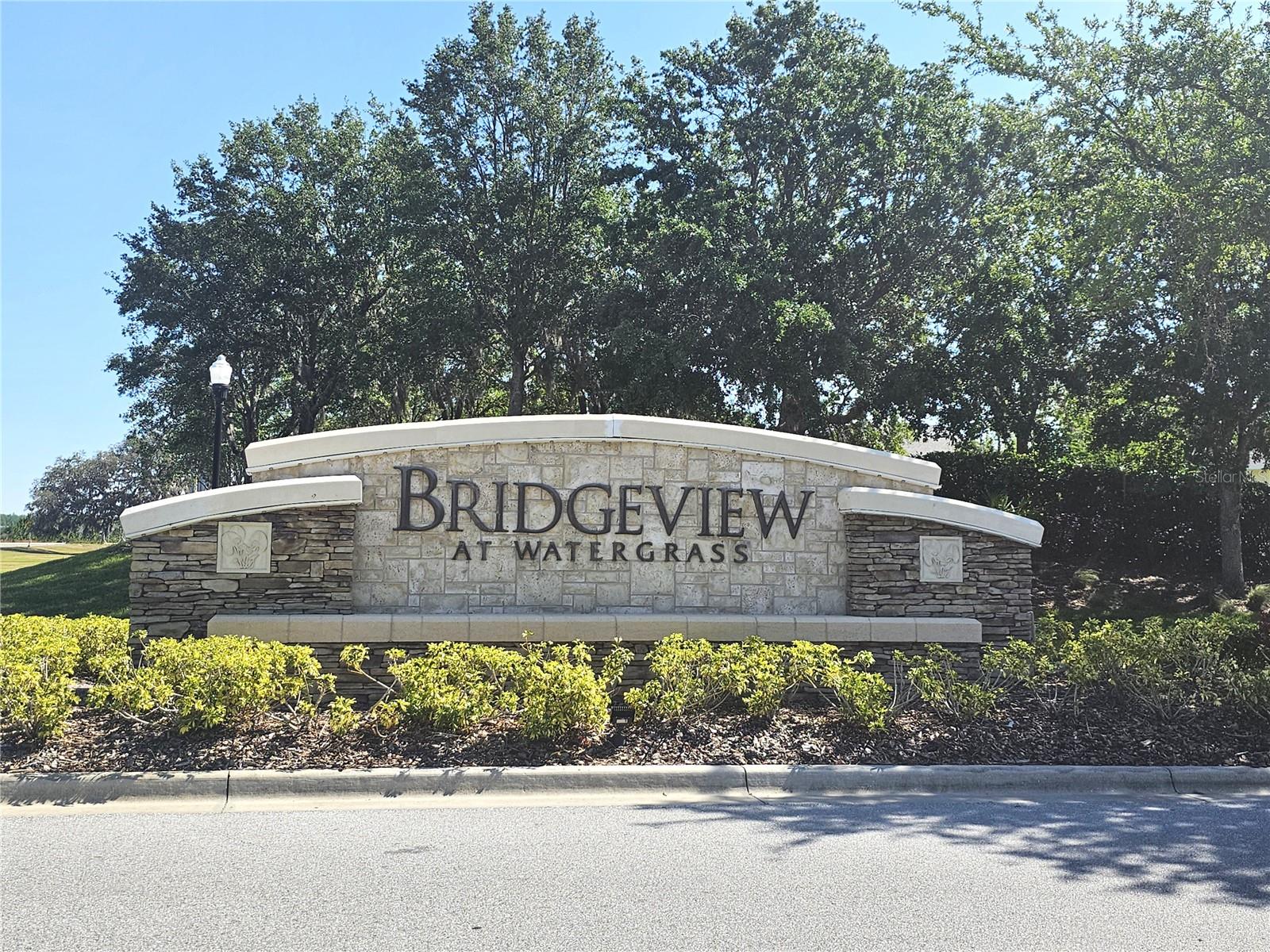 31828 SPOONFLOWER CIR — photo 2