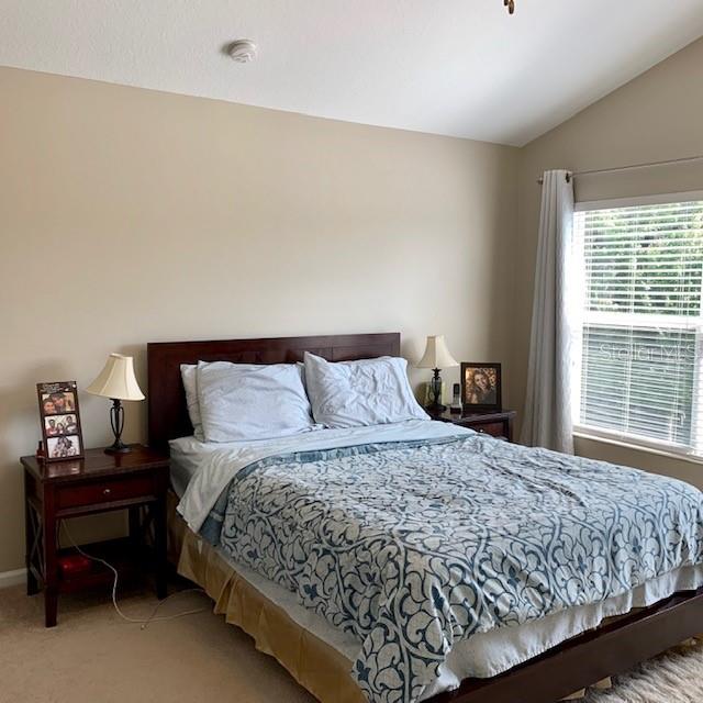10301 WESTPARK PRESERVE BLVD — photo 9
