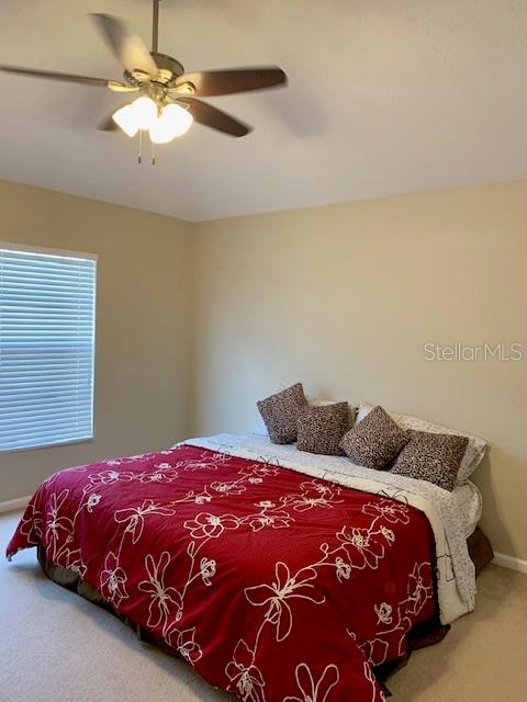 10301 WESTPARK PRESERVE BLVD — photo 15