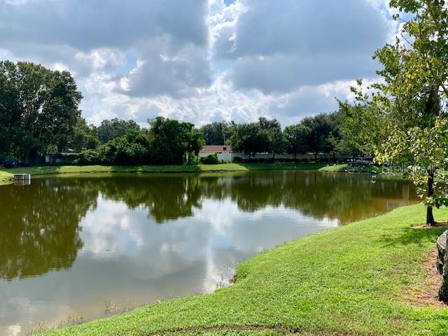 10301 WESTPARK PRESERVE BLVD — photo 17