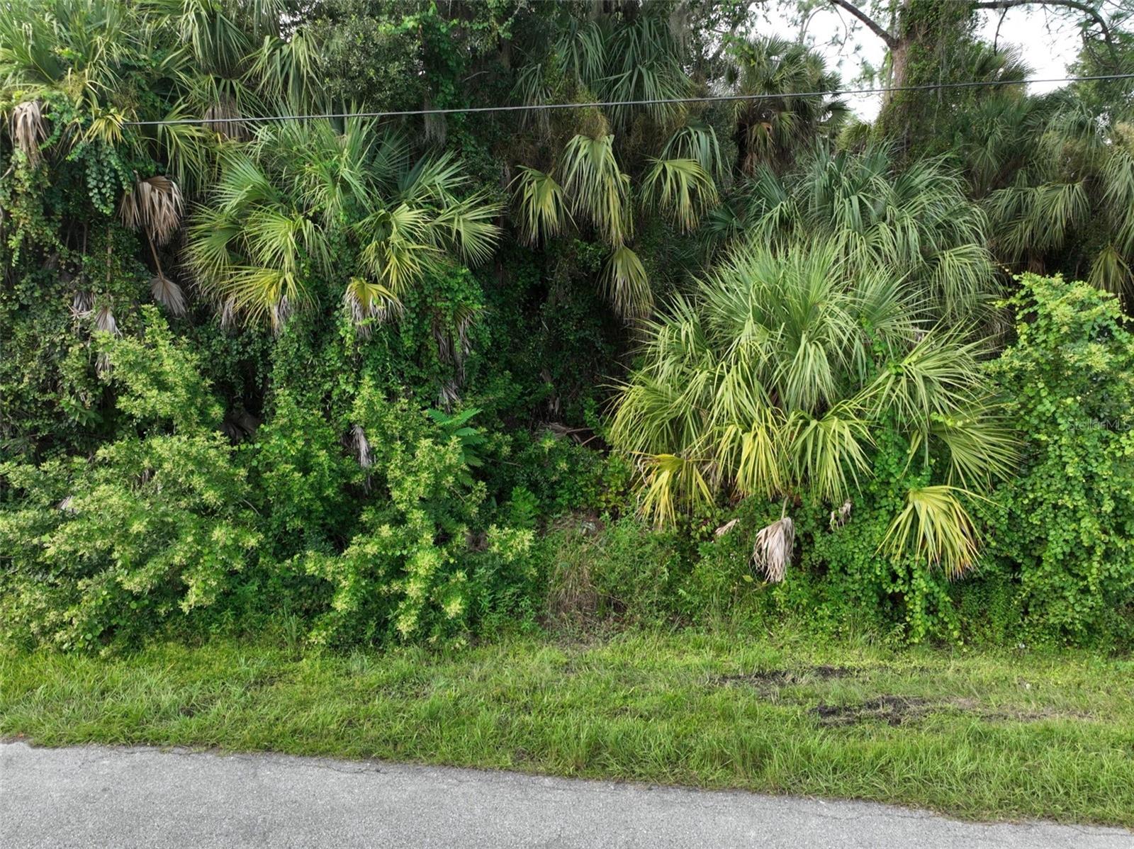 COQUINA AVE — photo 7