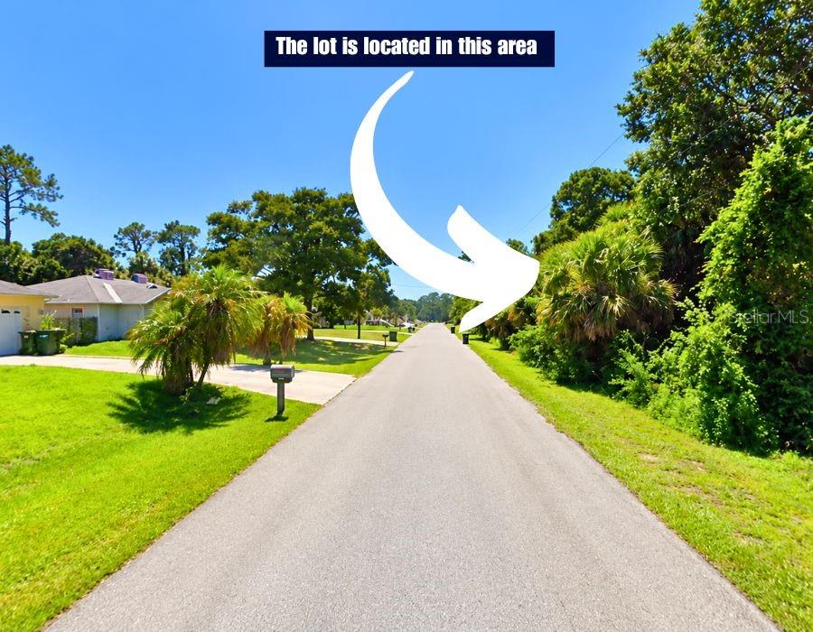 COQUINA AVE — photo 5