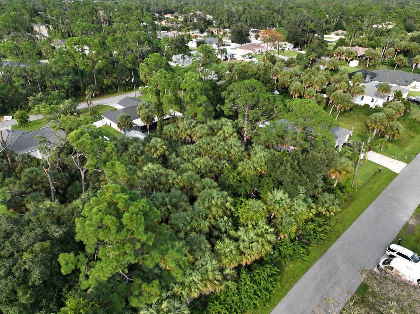 COQUINA AVE — photo 30