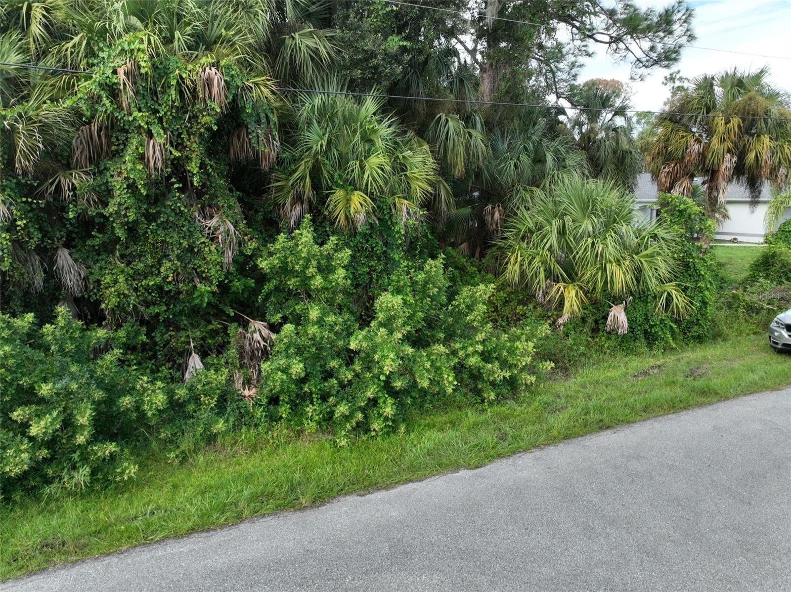 COQUINA AVE — photo 27