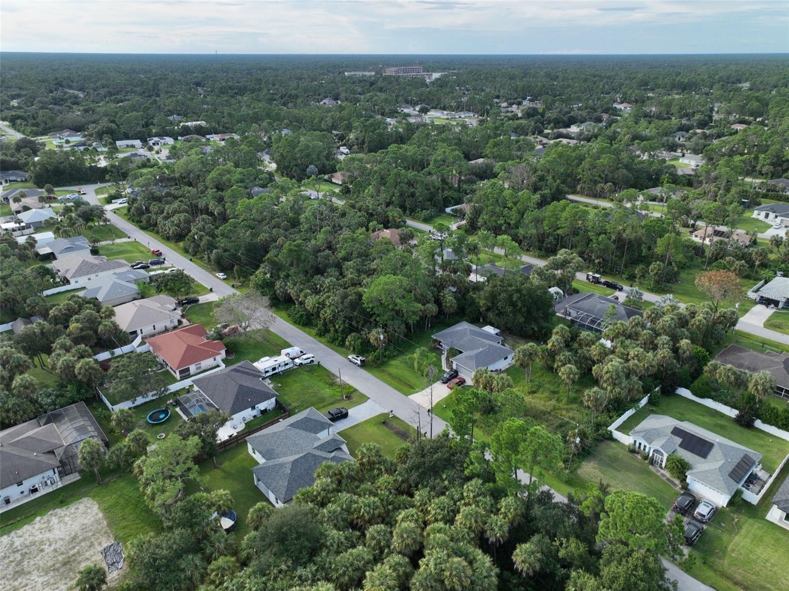COQUINA AVE — photo 19