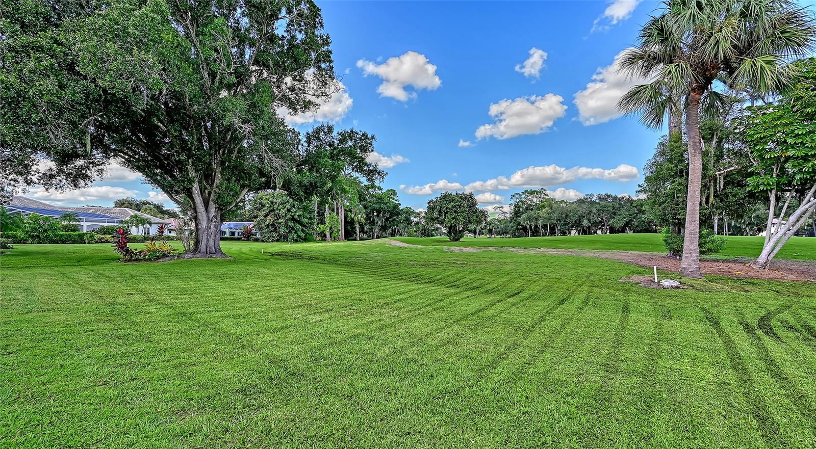 7913 BROADMOOR PINES BLVD — photo 71