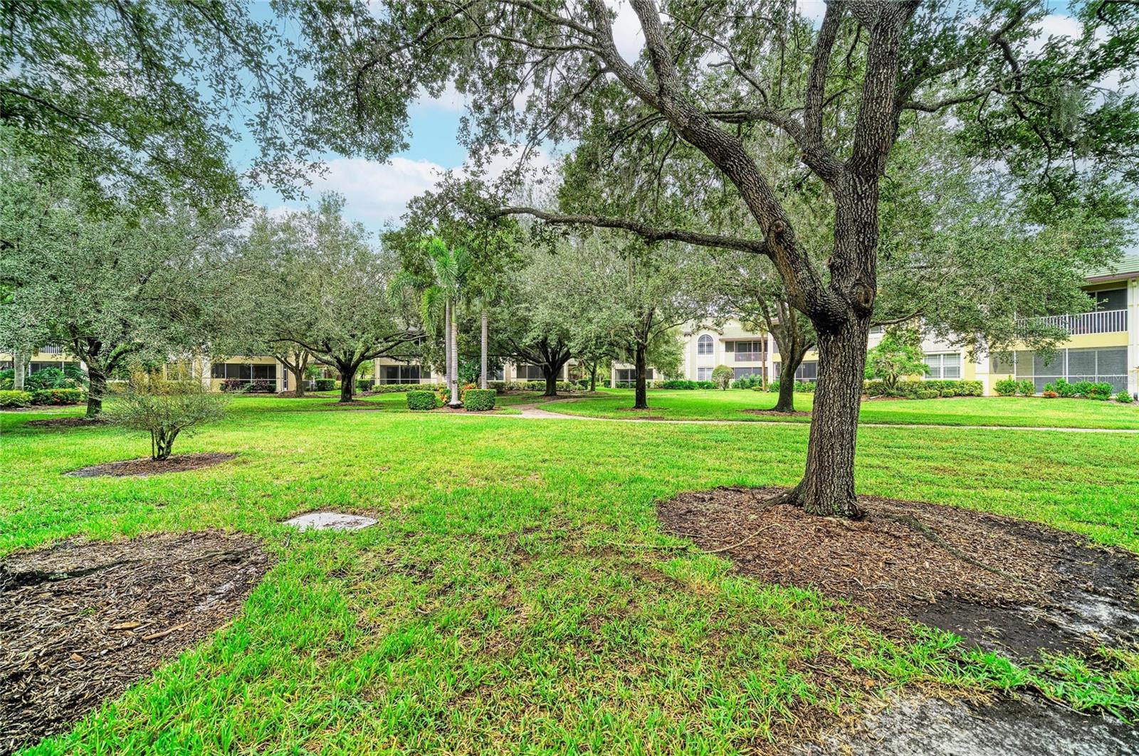 6536 MOORINGS POINT CIR #101 — photo 47