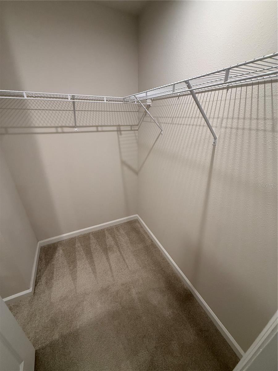 4724 OLD BLUSH ST — photo 21