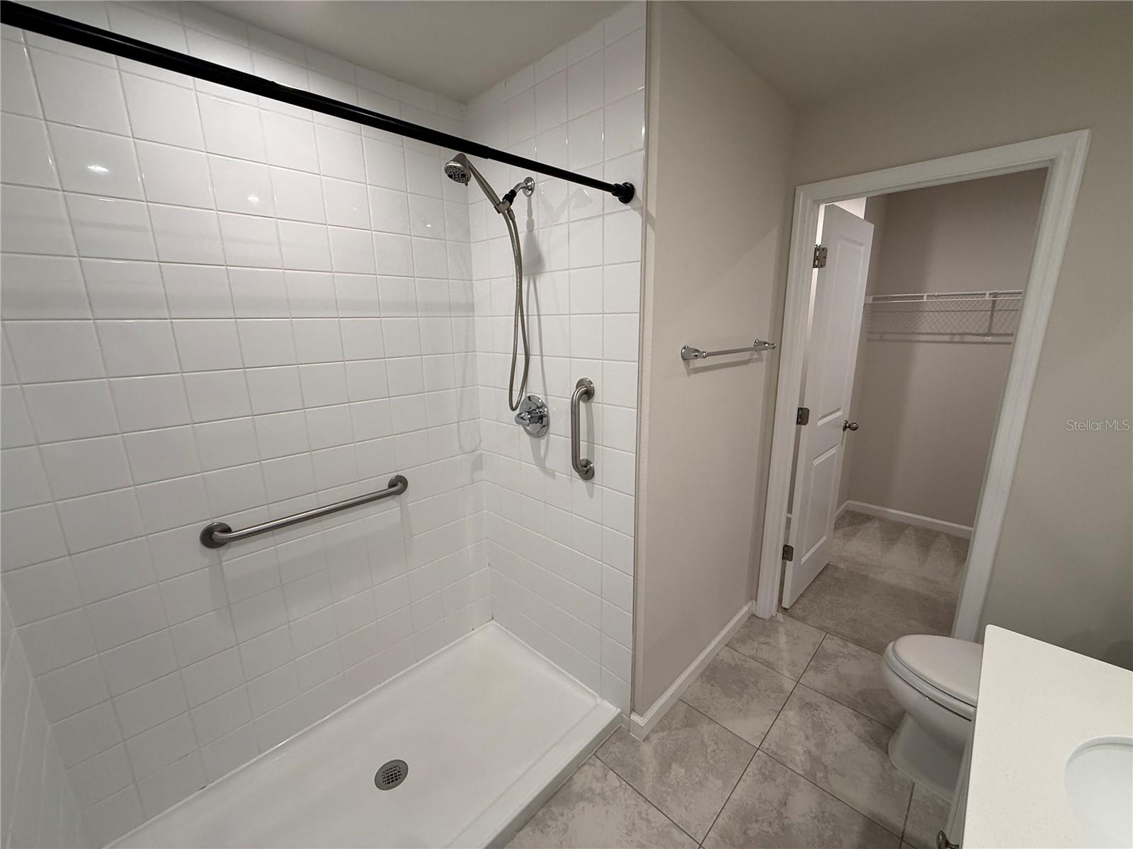 4724 OLD BLUSH ST — photo 20