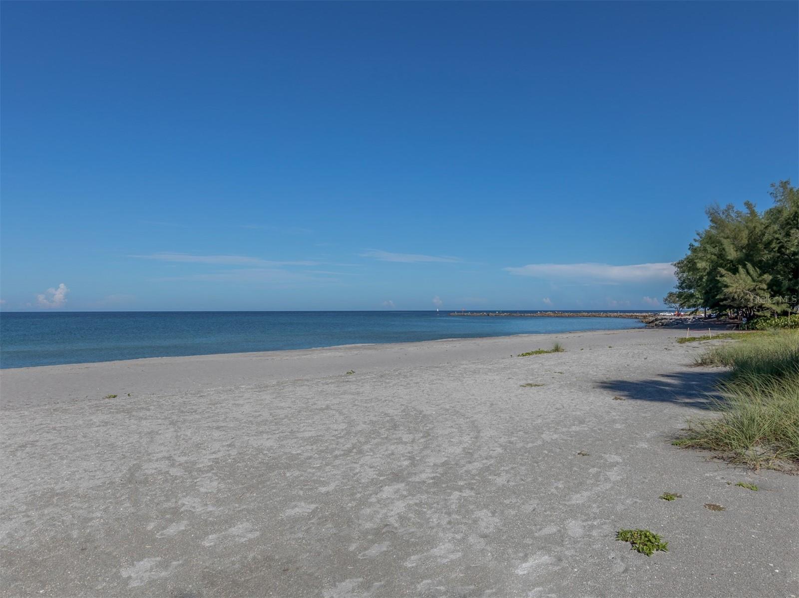 1555 TARPON CENTER DR #247 — photo 36