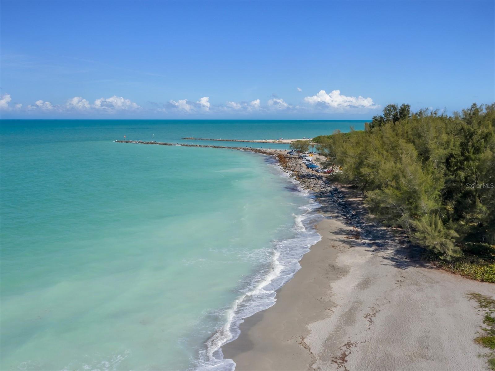 1555 TARPON CENTER DR #247 — photo 40