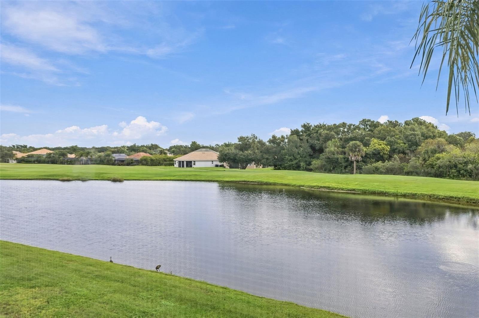 1003 FAIRWAYCOVE LN #207 — photo 6