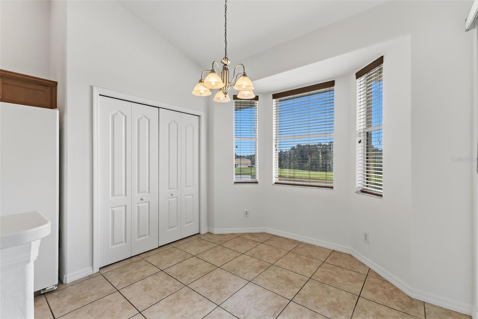 1003 FAIRWAYCOVE LN #207 — photo 11