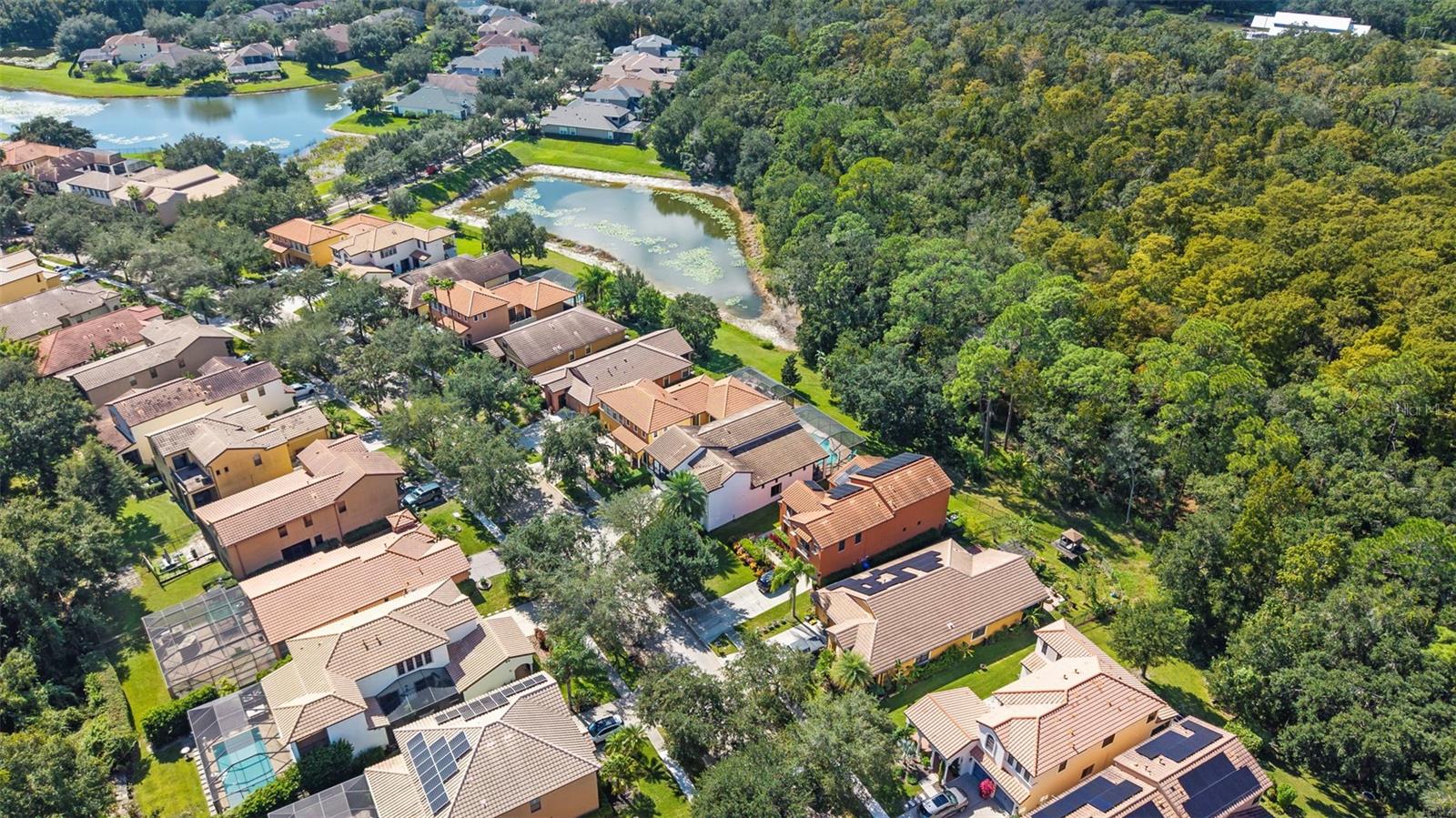 20316 HERITAGE POINT DR — photo 56