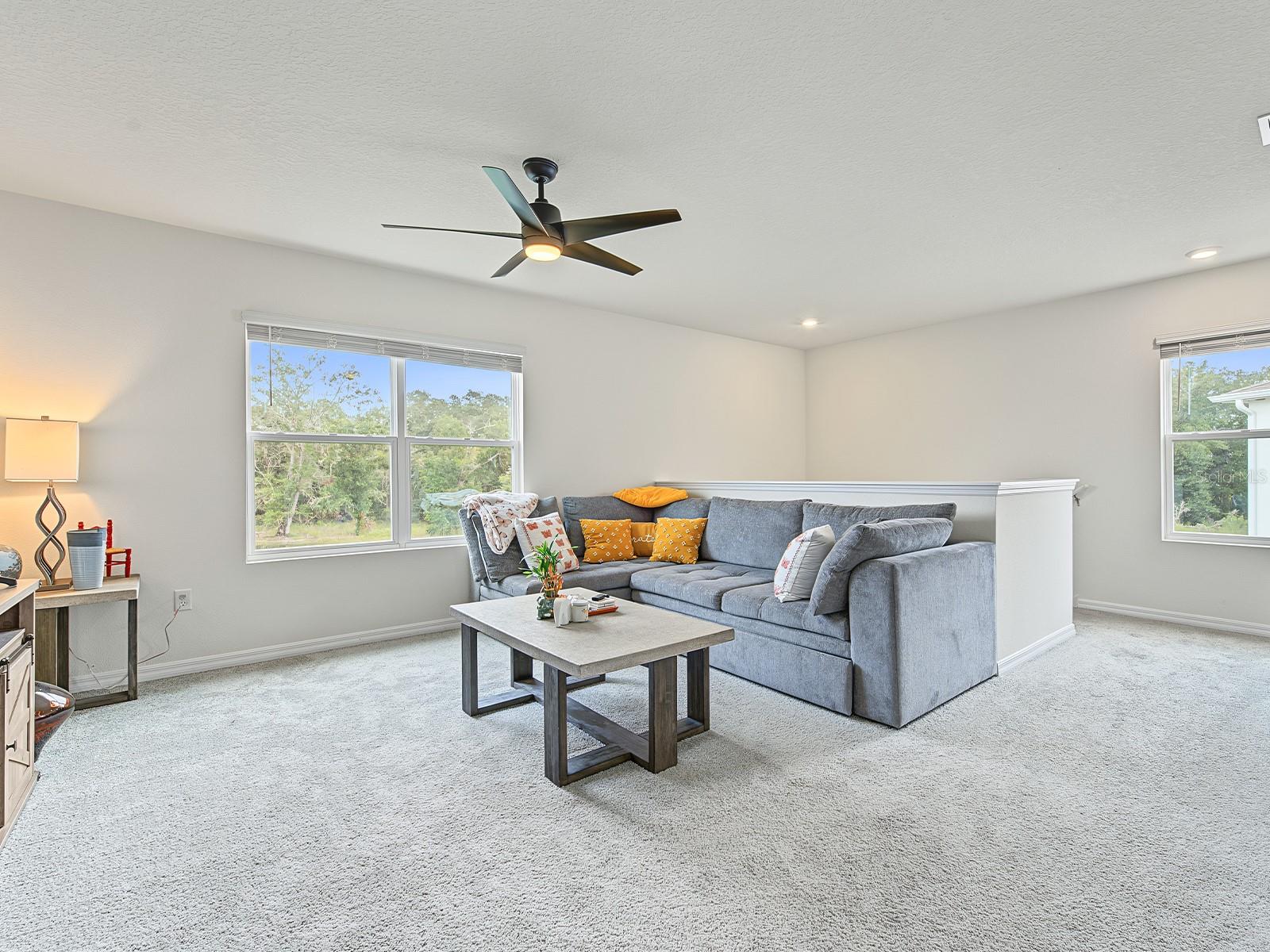 36013 ELLSWORTH PL — photo 11