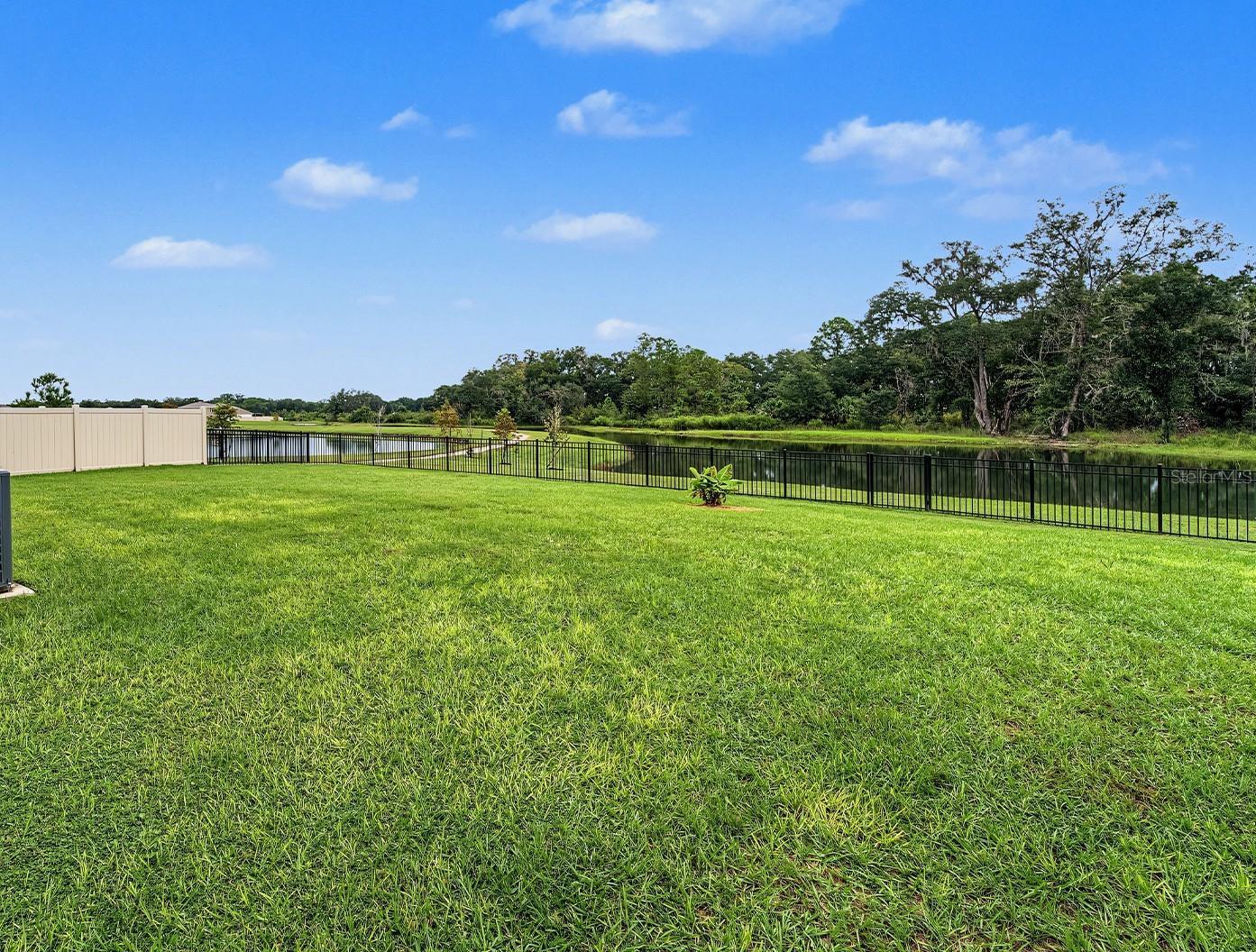 36013 ELLSWORTH PL — photo 23