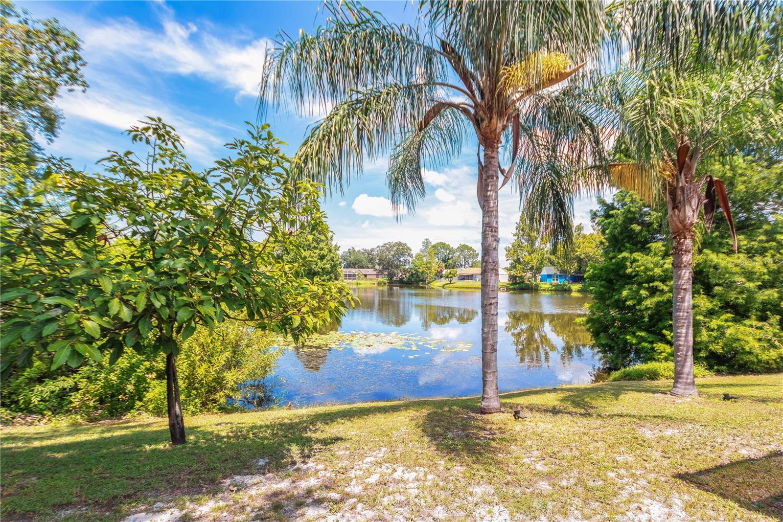 4311 COUNTY BREEZE DR — photo 6