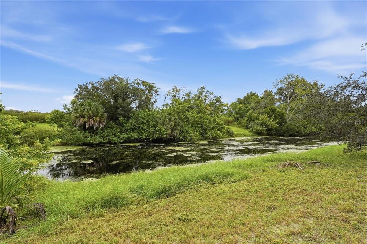 12404 COBBLE STONE DR — photo 40