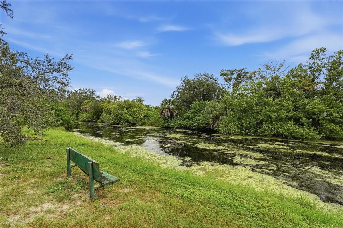 12404 COBBLE STONE DR — photo 41