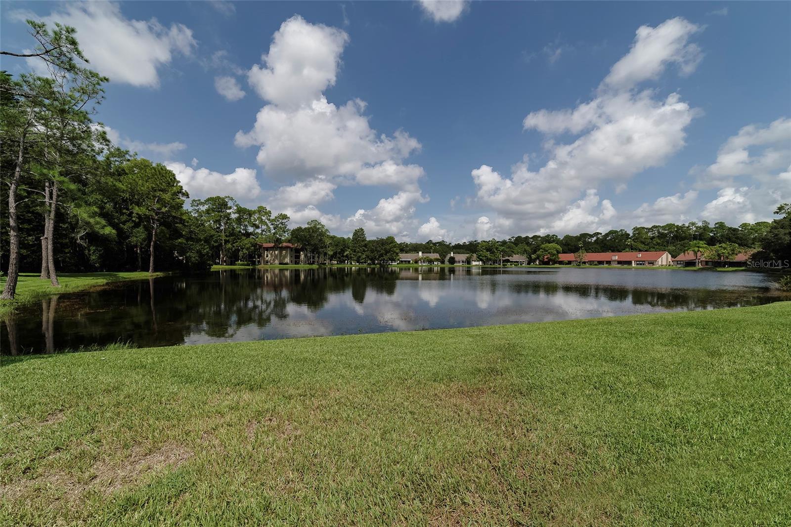 3430 HILLMOOR DR — photo 18
