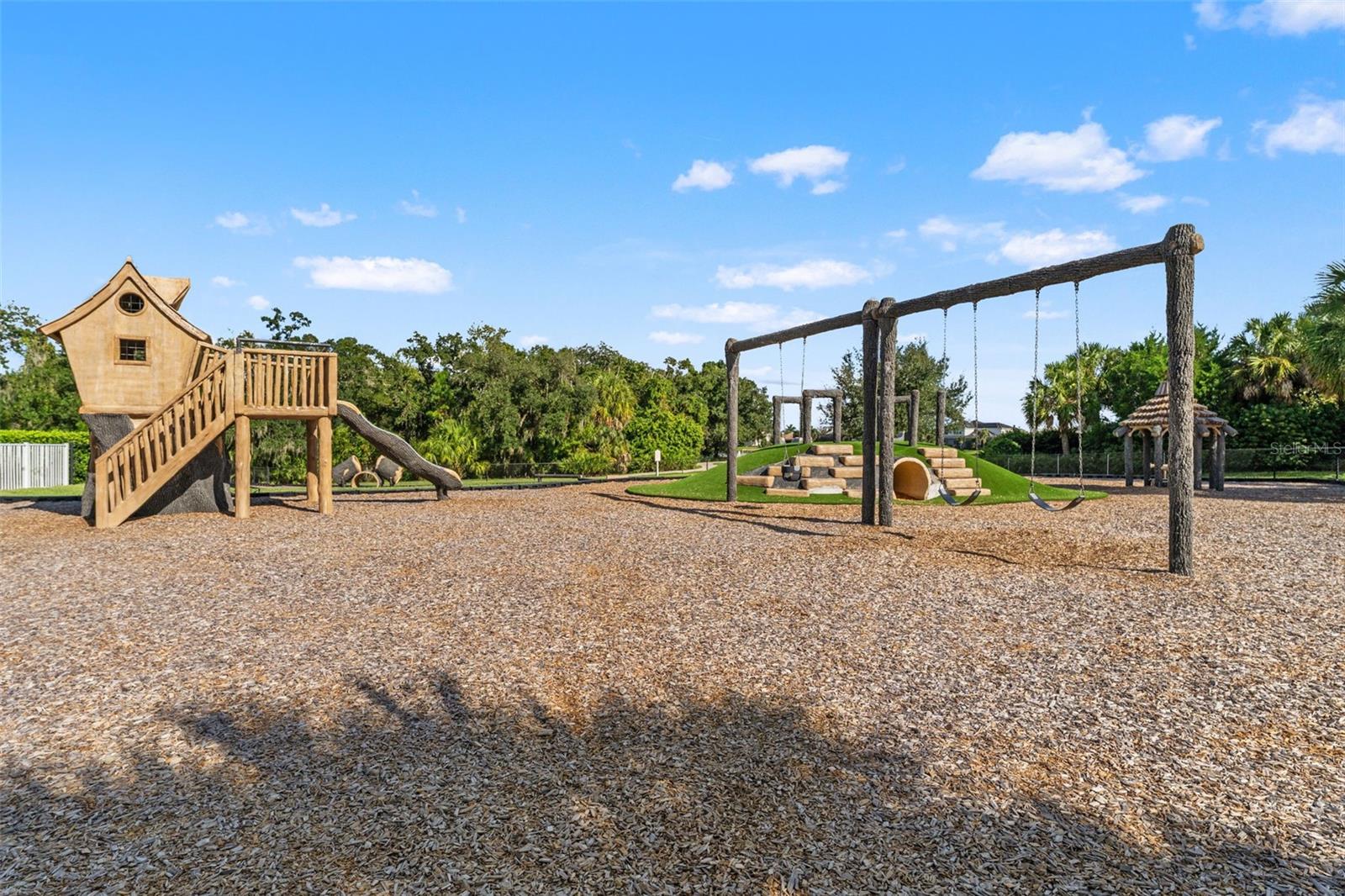 12111 BLUE HILL TRL — photo 51