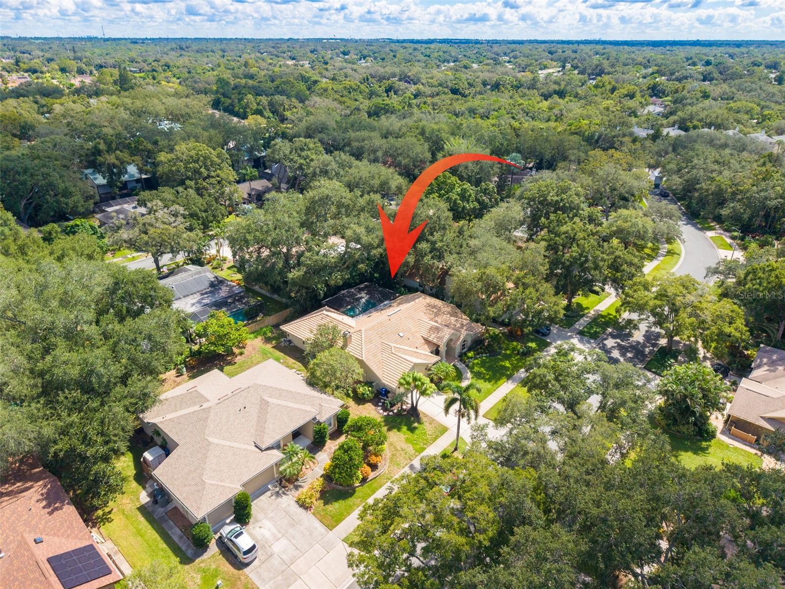 2715 COUNTRY WOODS LN — photo 49