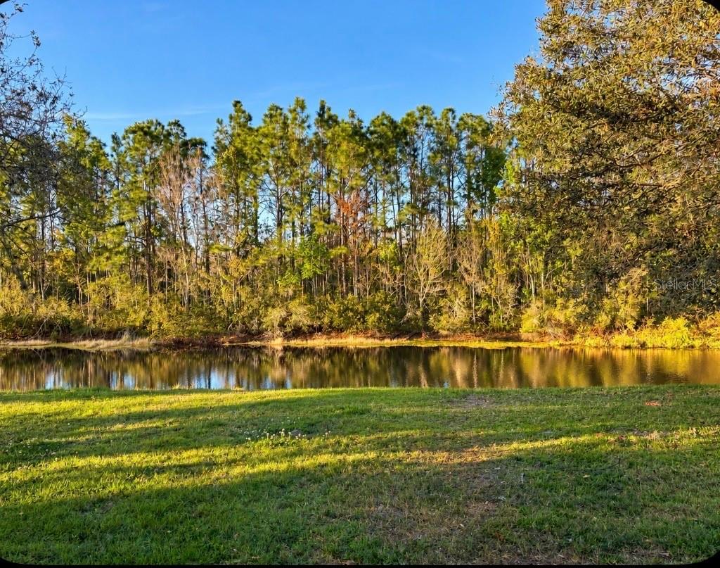 26841 STILLBROOK DR — photo 2