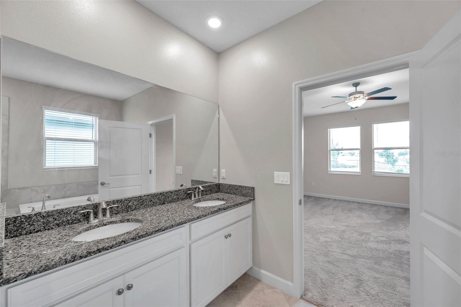 11412 FRESHWATER RIDGE DR — photo 39