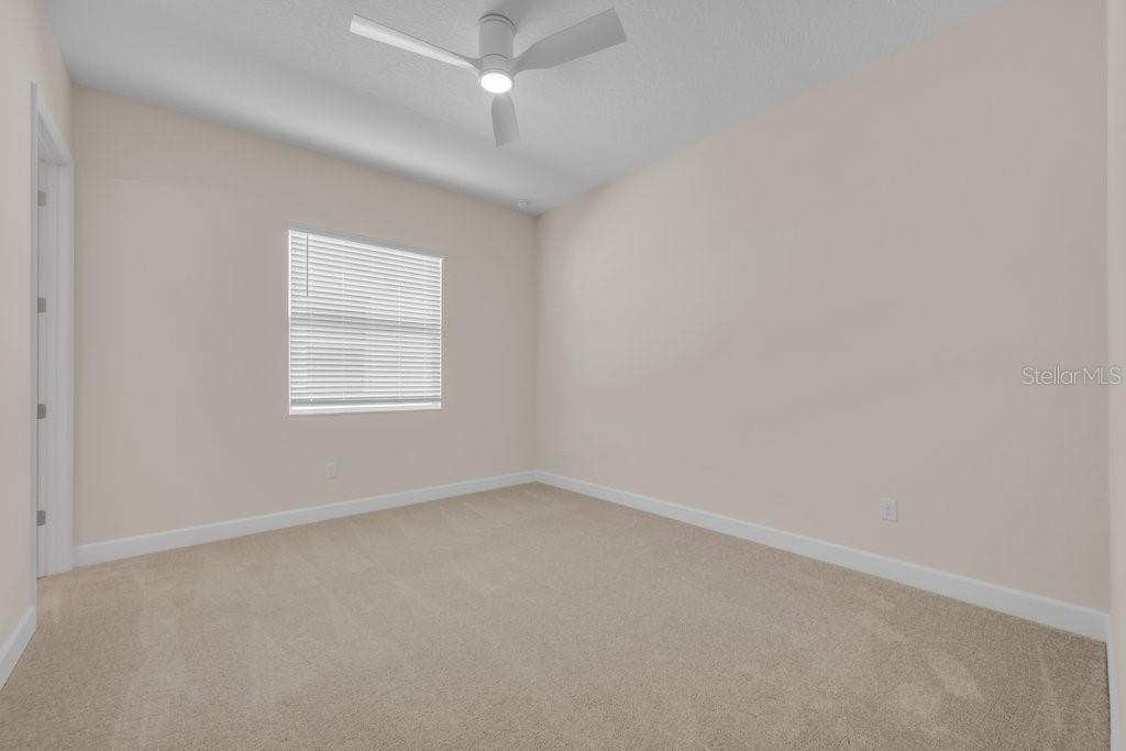 32643 NEROLI ST — photo 28