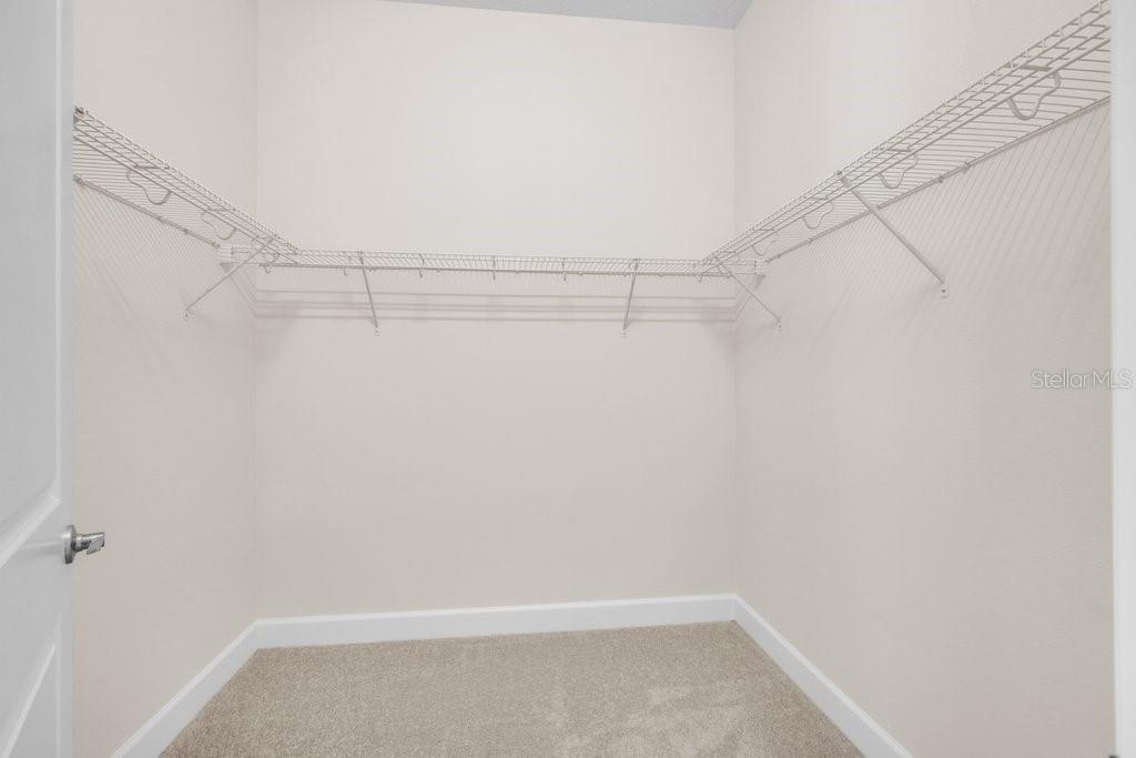 32643 NEROLI ST — photo 23