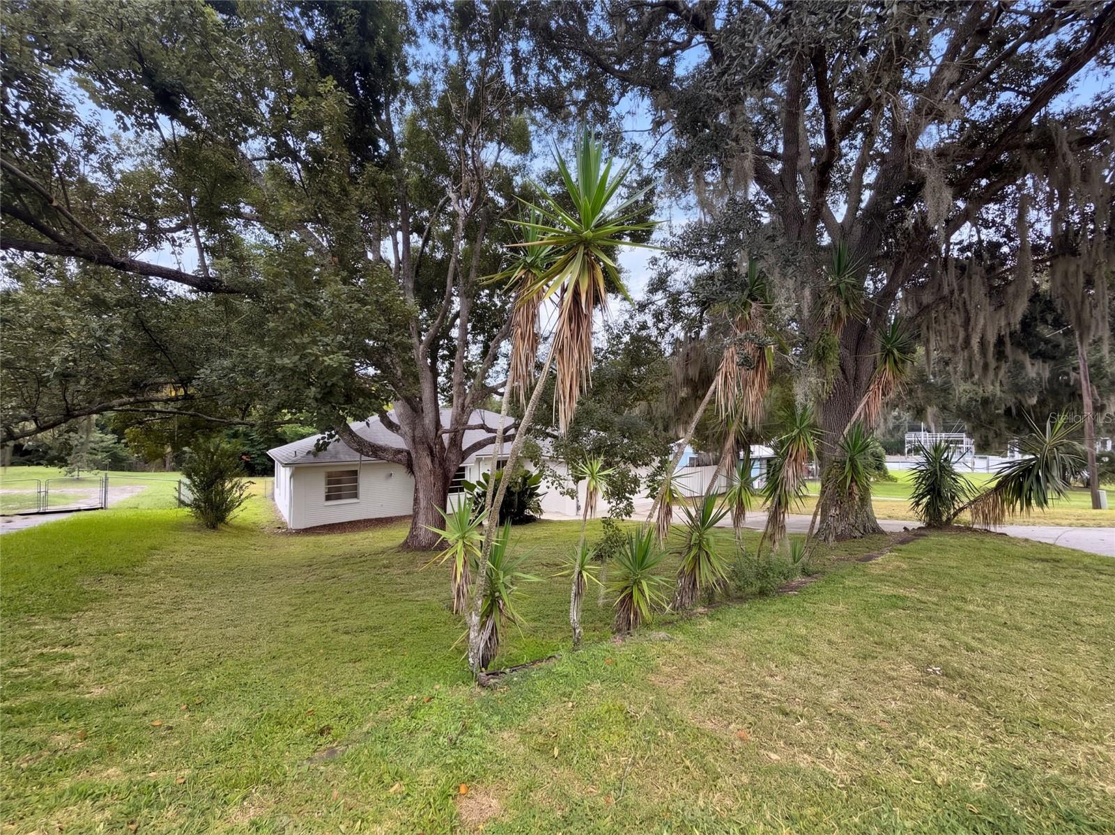 12054 JOE HERRMANN DR — photo 30