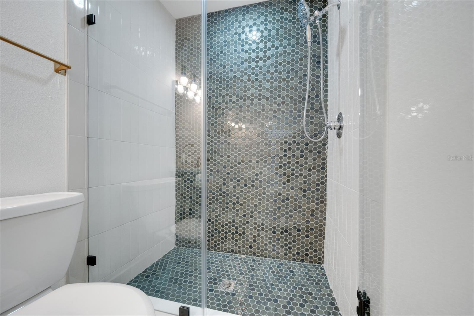 209 BEL FOREST DR #1 — photo 29