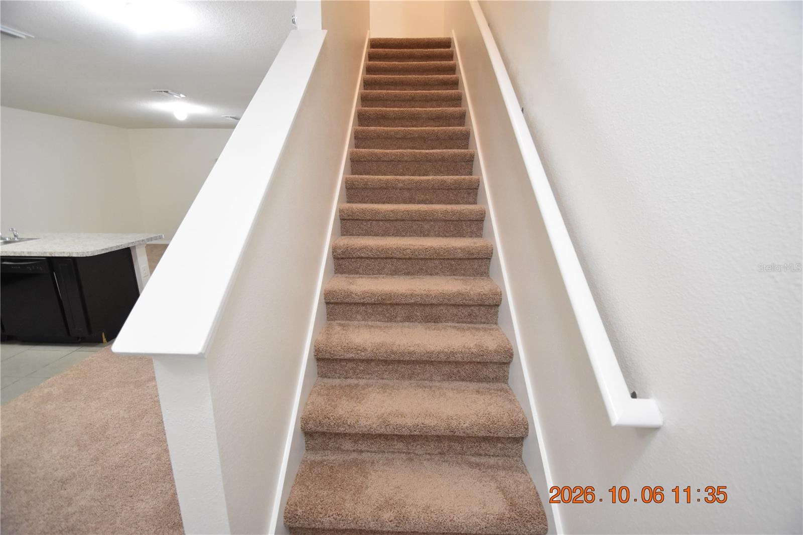 12921 SHADY FERN LN — photo 12