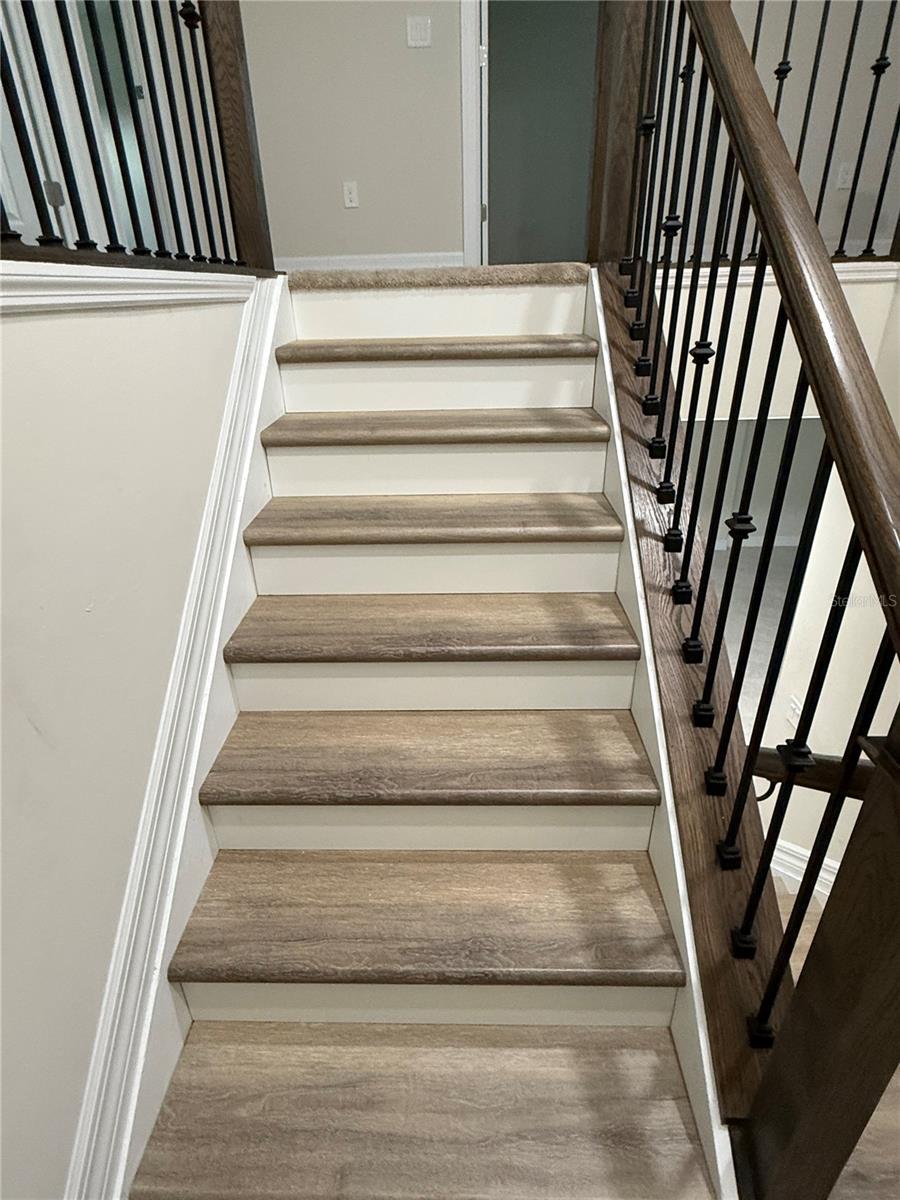 2541 BUCKTHORN LOOP — photo 24