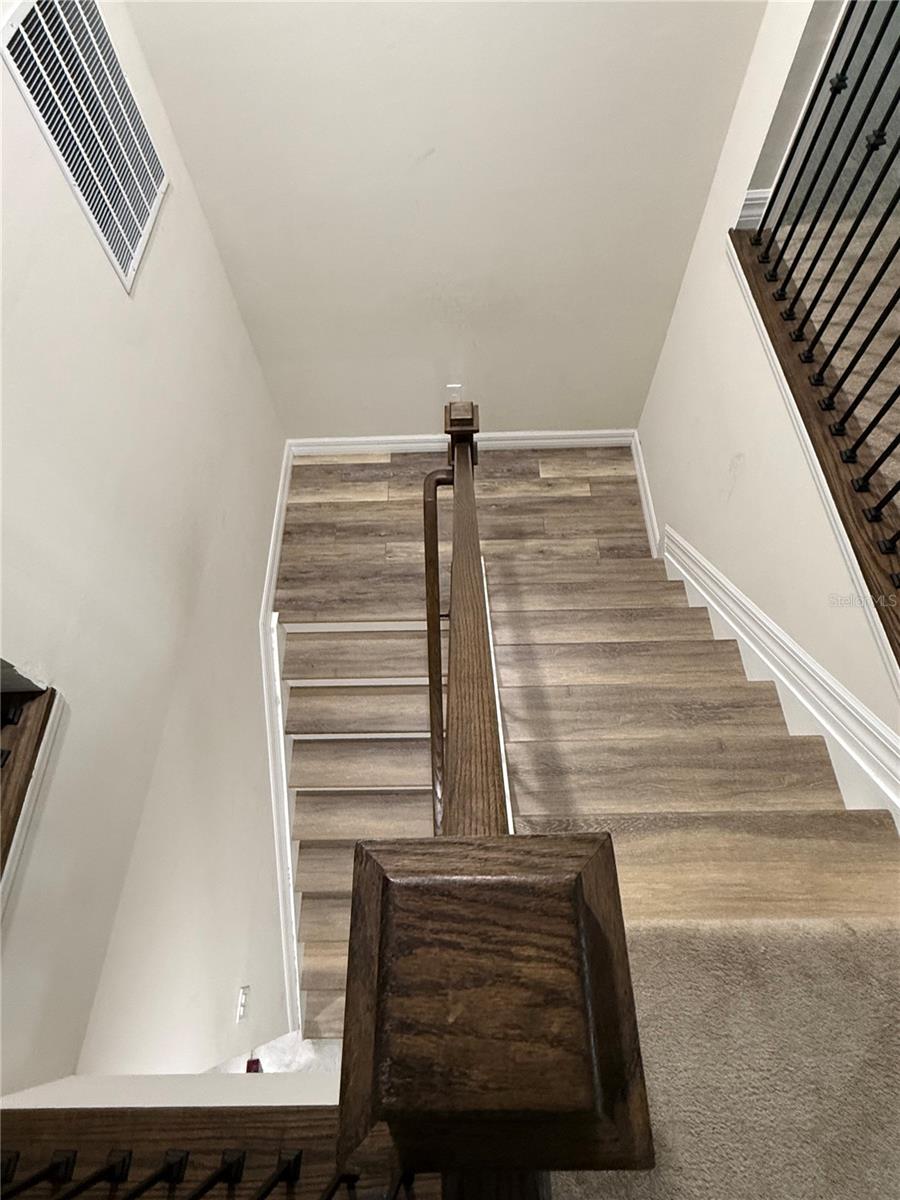 2541 BUCKTHORN LOOP — photo 23