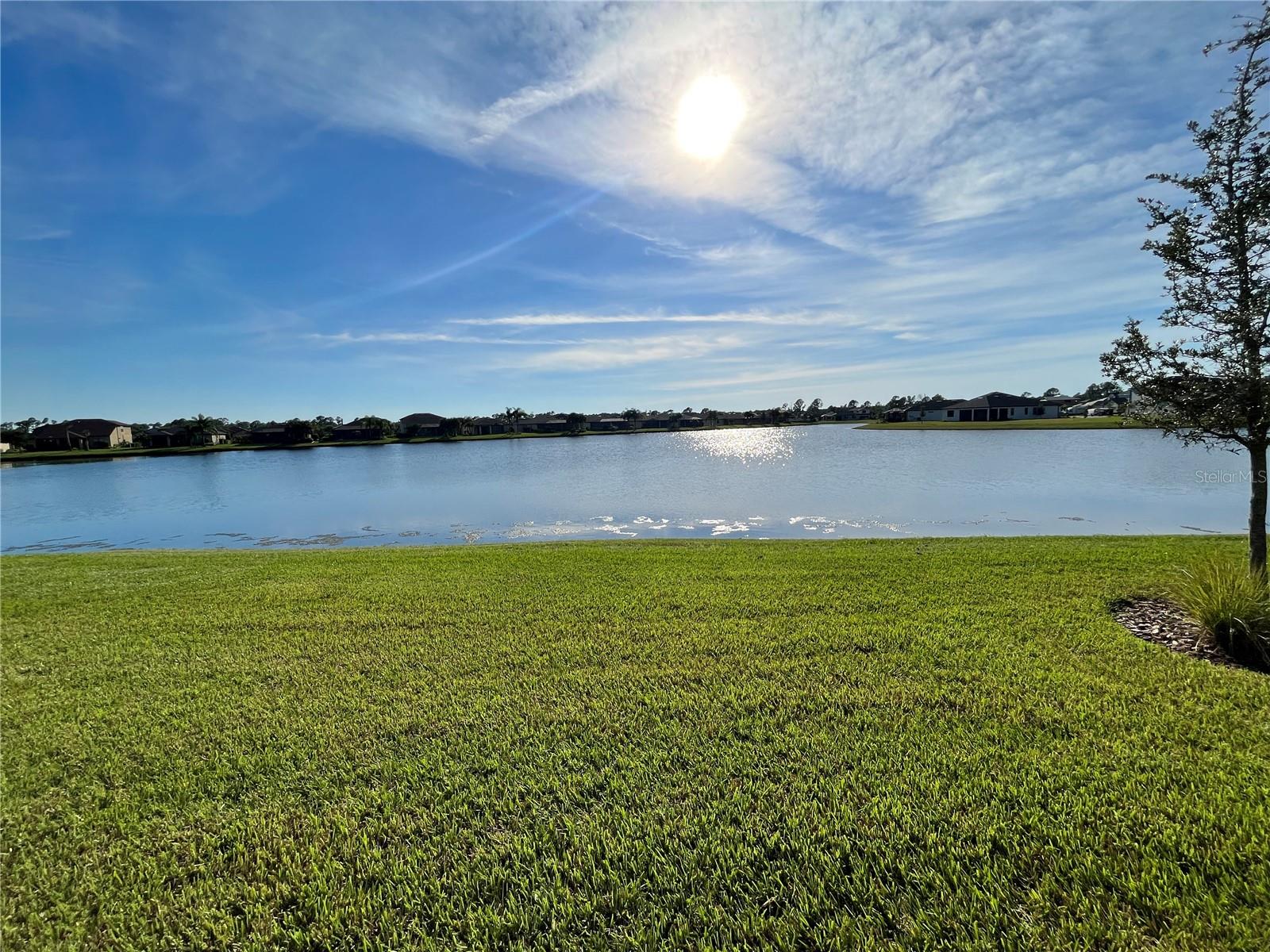 2541 BUCKTHORN LOOP — photo 45