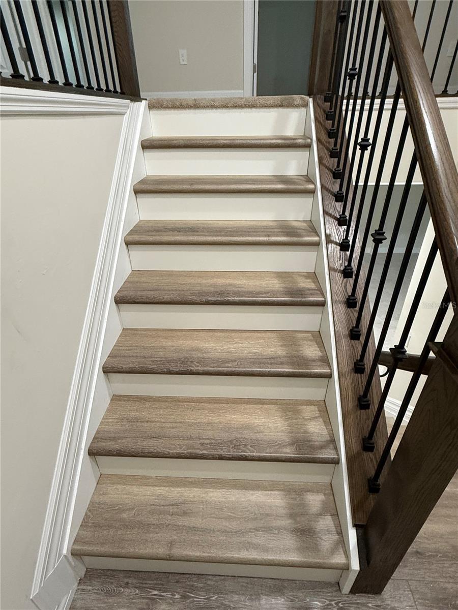 2541 BUCKTHORN LOOP — photo 25