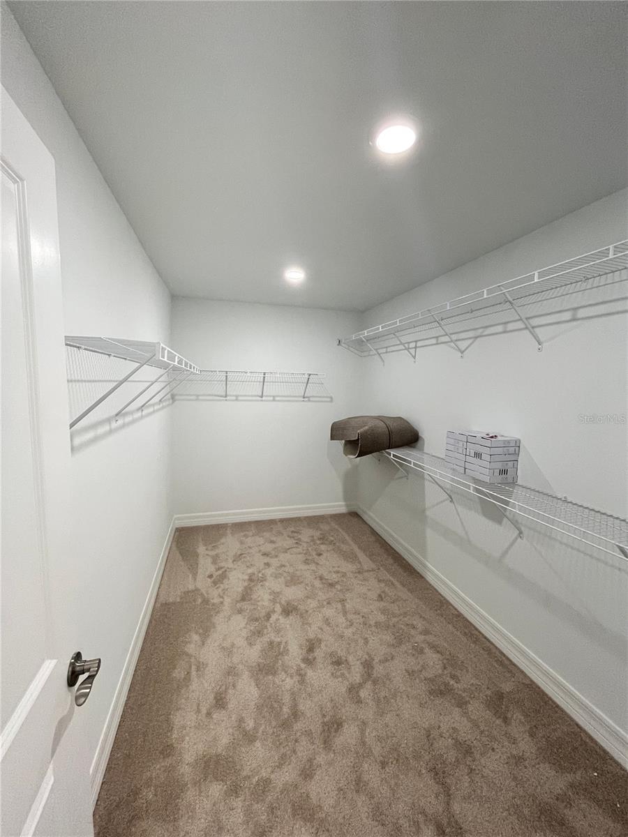 2541 BUCKTHORN LOOP — photo 33