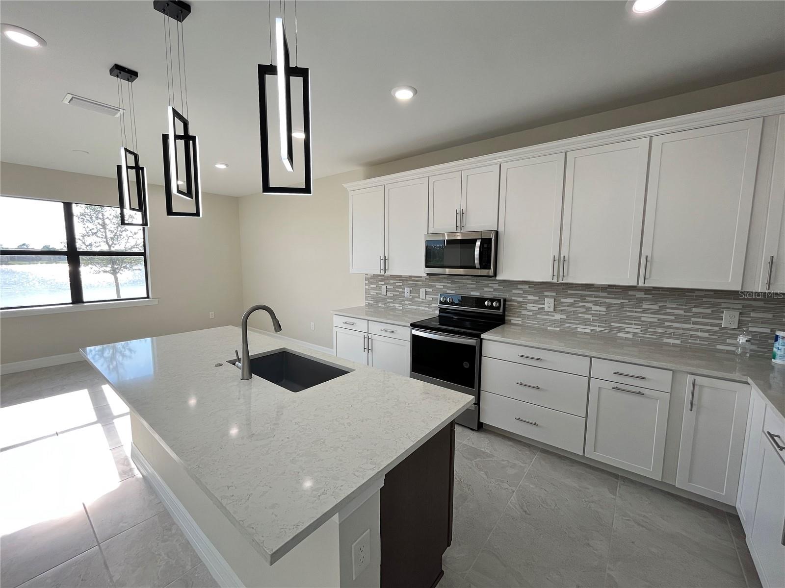 2541 BUCKTHORN LOOP — photo 8