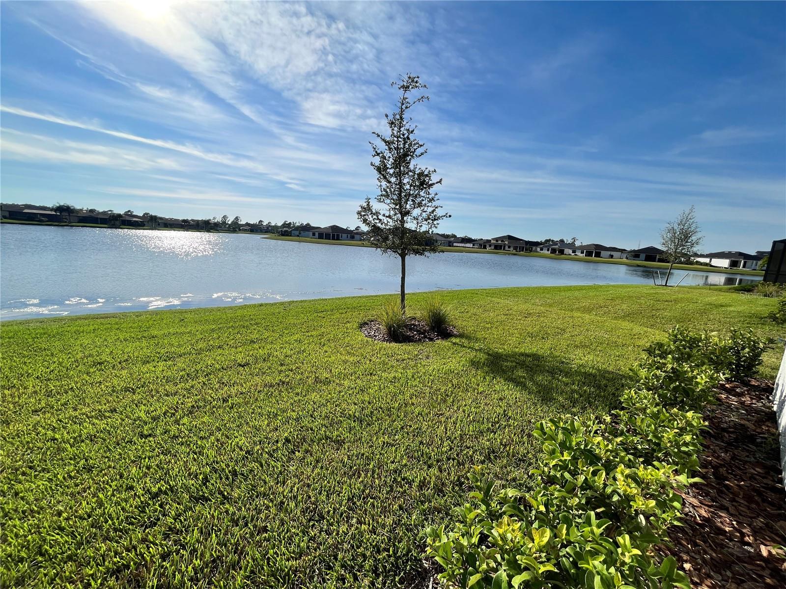 2541 BUCKTHORN LOOP — photo 47